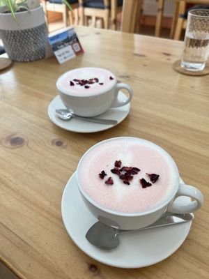   at The Sly Fox in Edinburgh