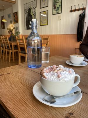   at The Sly Fox in Edinburgh