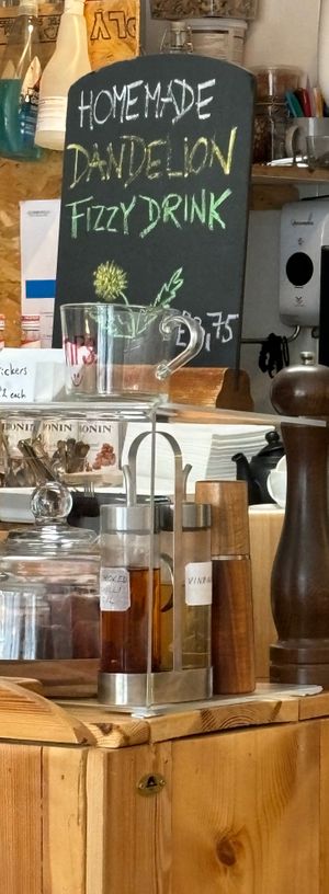 Dandelion drink caught my eye at The Sly Fox in Edinburgh