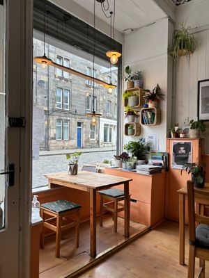 Interior at The Sly Fox in Edinburgh