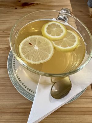 Elderflower drink  #Veganuary at The Sly Fox in Edinburgh