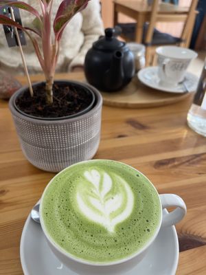   at The Sly Fox in Edinburgh