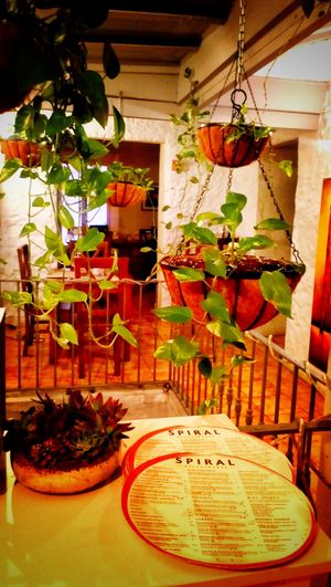 Primera planta. Salón at Spiral in Nerja