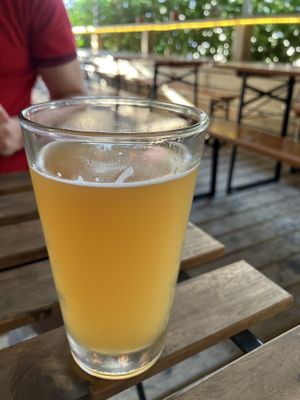   at 3 Dot Dash in Tampa