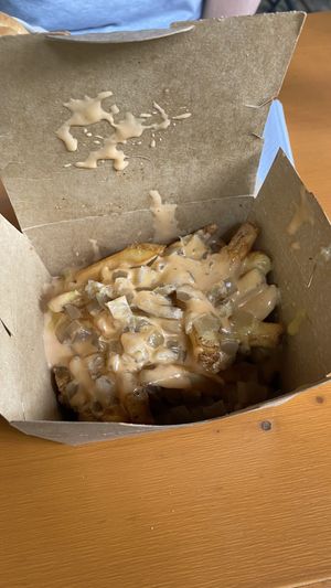 No animal style fries  at 3 Dot Dash in Tampa