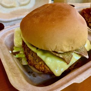   at 3 Dot Dash in Tampa