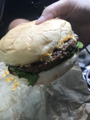 Mustard tiger at 3 Dot Dash in Tampa