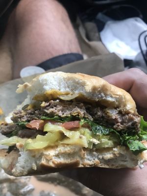 Mustard tiger at 3 Dot Dash in Tampa