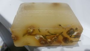 Soap bar at Earth Warriors in Darlington