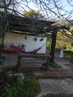 Outside at Casa Rural Ahora in El Colmenar