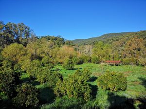 Outside at Casa Rural Ahora in El Colmenar