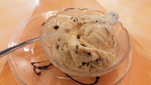 Mint chip Double Rainbow vegan ice cream. Excellent! at Saturn Cafe in Santa Cruz