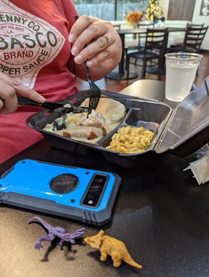 Chick'n fried with mashed potatoes. at ITSO Vegan in Grand Prairie