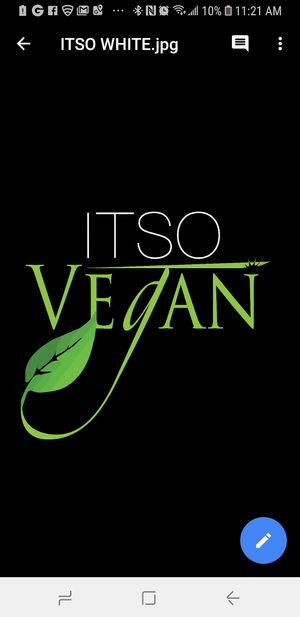 Logo at ITSO Vegan in Grand Prairie