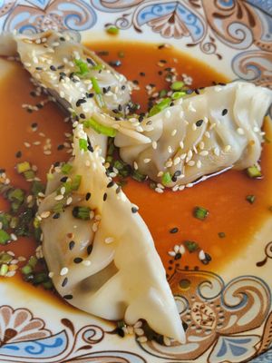 Vegan dumplings at Temari Sushi in Willemstad