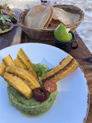   at La Zebra in Tulum