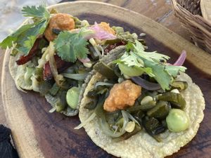   at La Zebra in Tulum