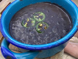   at La Zebra in Tulum