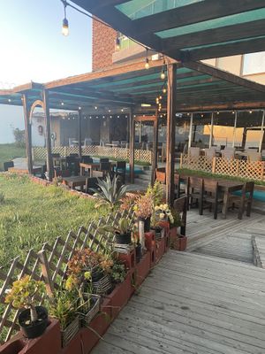   at Planta Baja Restaurant in Ensenada