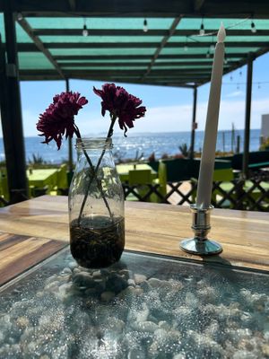 Outside sitting at Planta Baja Restaurant in Ensenada