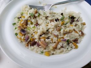 Coconut vegetable risotto at Planta Baja Restaurant in Ensenada