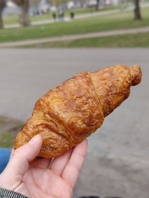 Chocolate croissant at Delivore in Stockholm