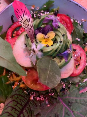 House salad 🥗  at Cultura Viviente in Pisac