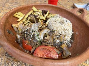 Mushroom, rice, potato  at Cultura Viviente in Pisac