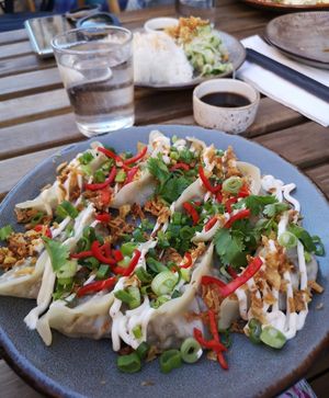 Vegan new school at Hills Dumplings in Helsinki