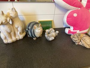Katzen sind sehr beliebt  at Kupferpfanne in Hechingen