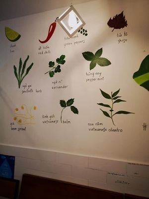Herbs Wall  at Bun Bar in Ho Chi Minh City
