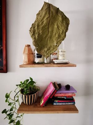 Living room space using real leafs as lam shades  at Bun Bar in Ho Chi Minh City