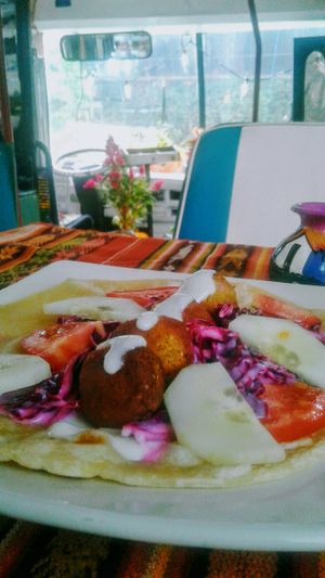 Falafel and vegan mayonnaise at Mindo Sobre Ruedas in Mindo