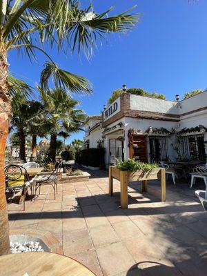   at Wild Cafe in Estepona