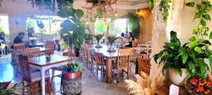  at Wild Cafe in Estepona