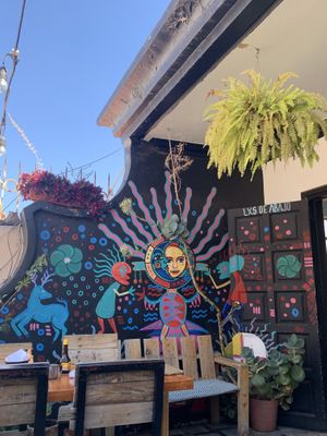   at Lxs de Abajo in Zacatecas