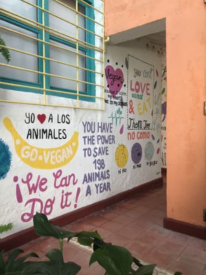 Decoration at VEGAN GARDEN in Barranquilla