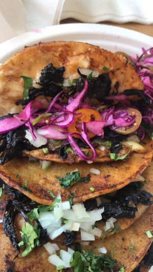 Phenomenal vegan tacos. So glad I was able to stop in, I can’t wait to come back🤩 at La Luna Bakery in Albuquerque