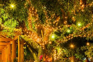 Fairy lights at night.
 at 7 Sisters Restaurant in Bagan