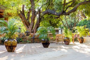 Decorated with palms in big pots. at 7 Sisters Restaurant in Bagan