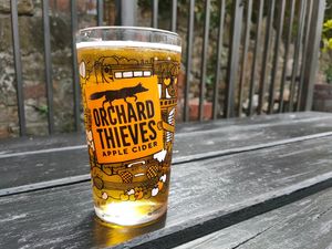 Vegan Cider at The Blue Bell in Conwy