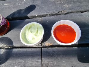  at The Blue Bell in Conwy