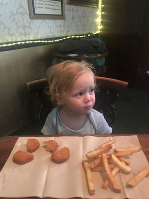Dippers  at The Blue Bell in Conwy