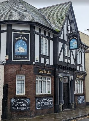 Fully vegan menu cooked in a totally vegan kitchen at The Blue Bell. 
No animal products in our food or anywhere near our kitchen.  at The Blue Bell in Conwy