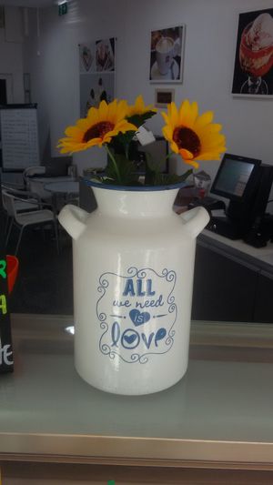 Love is all we need... and vegan gelatos. at Italian Freddo in Albufeira