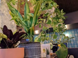 Interior of the restaurant at Espíritu in New Orleans