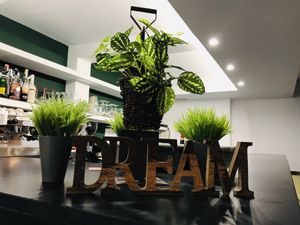 Dream ✨ at La JunGla in Valencia