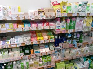 Body care and house cleaners at Kokekokko 自然食品 コケコッコ in Wakayama