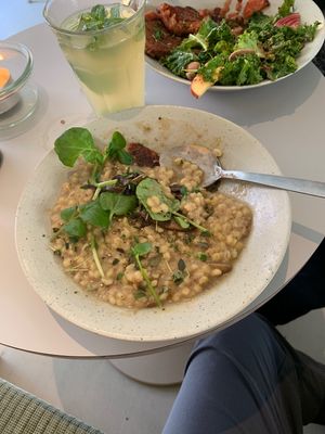 Vegan - Otto (Vegan Risotto) at GRØD in Aarhus