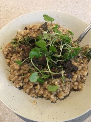 Vegansk 'svampebygotto’ at GRØD in Aarhus
